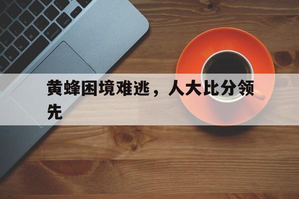 黄蜂困境难逃,人大比分领先的简单介绍
