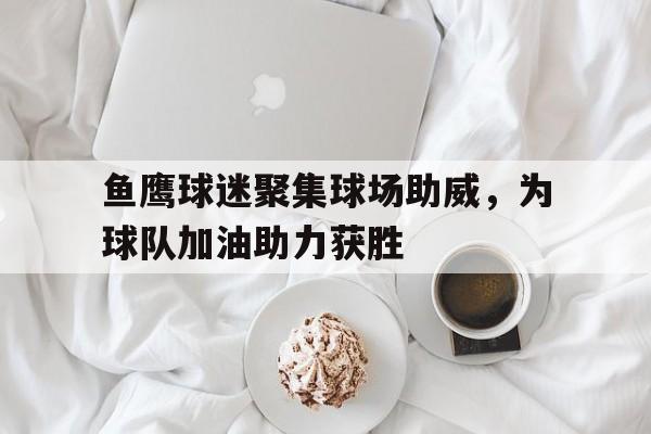 鱼鹰球迷聚集球场助威，为球队加油助力获胜的简单介绍